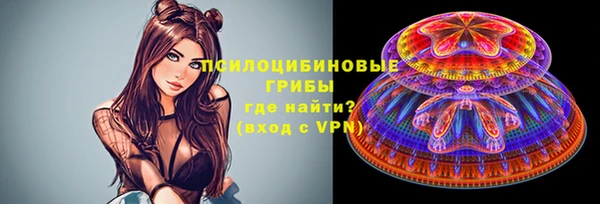 apvp Алексеевка
